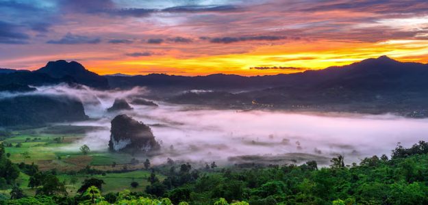cropped-sunrise-morning-mist-phu-lang-ka-phayao-thailand_335224-803.jpg