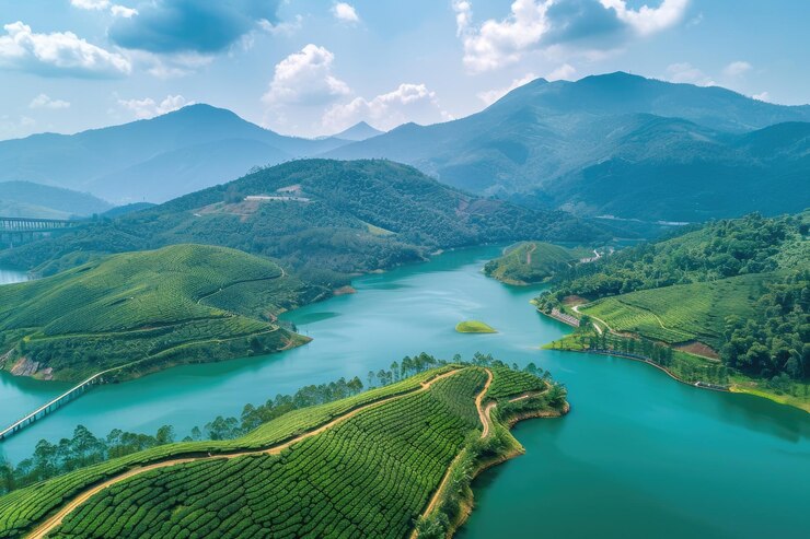 aerial-view-hill-lake-with-tea-plantations-forest_641503-78880