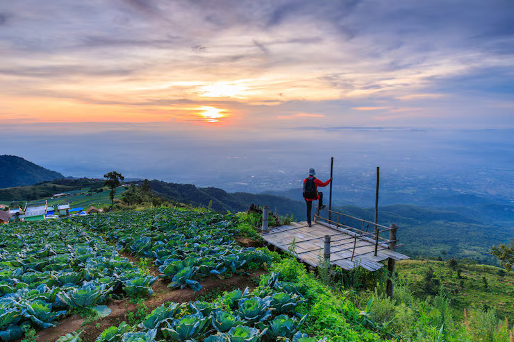 landscape-phu-tub-berk-phetchabun-province-thailand_46740-245