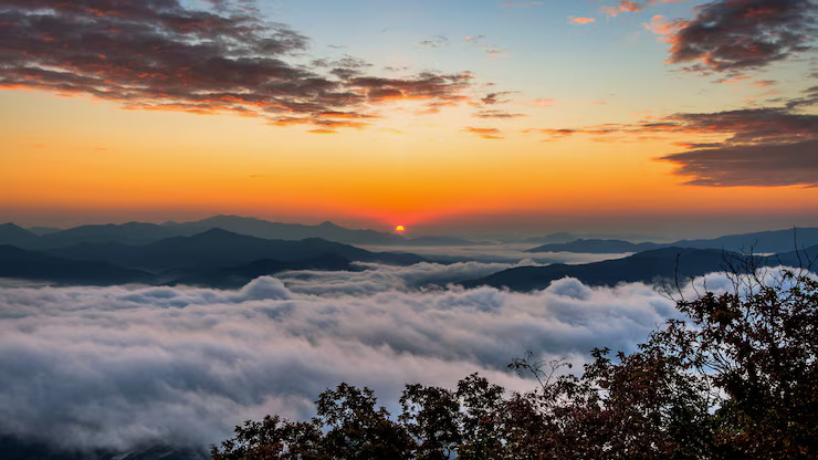 seoraksan-mountains-is-covered-by-morning-fog-sunrise-seoul-korea_335224-518